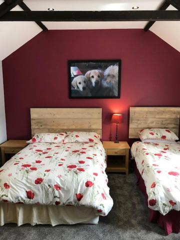Farm stay Holywell Grange Farm *